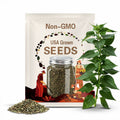 Korean Perilla Sesame Leaves Seeds: Green Shiso, Non-GMO, 잎들깨