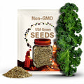 Premier Kale Seeds – Heirloom Vegetable, Open Pollinated, Non-GMO, Early and Tender Leafy Greens | 250 Seeds