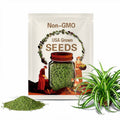 Pearl Chlorophytum Seeds, Succulent Plant seeds, 50pcs/pack (2144)