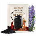 50 BLACK BEAUTY ZUCCHINI Summer Squash Cucurbita Pepo Vegetable Seeds