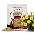 Marigold Seeds, Alumia Vanilla Cream Marigold Seed Packet (50 Seeds)