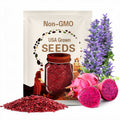 Red Dragon Fruit Seeds ~ Spectacular Flowers ~ Very Easy to Grow, Germinates Readily ~ Pitaya (Hylocereus Costaricensis)