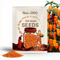 Orange Longtail Scorpion pepper seeds - pack of 10