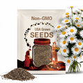 Crazy Daisy Seeds