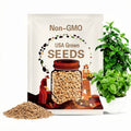 2000 SWEET GENOVESE BASIL Ocimum Basilicum Herb Flower Seeds