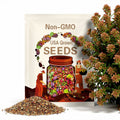 Mixed Sedum Stonecrop beautiful Succulent groundcover 100 Seeds
