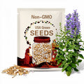 Marshmallow Seeds - Perennial - Cold Resistant - Edible -  - Clumping - Plant in Early Spring or Late Fall #6002