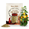 10 Candy Corn Pumpkin Seeds. Ships free.