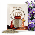 Viola Seeds Admire Marina Seeds