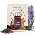200 Purple Globe Amaranth Seeds. Ships free