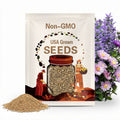 Aster Seeds Giant Ray Mix Seed