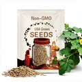 Seminole Pumpkin Seeds Florida Grown 2024