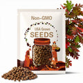 Scarlet Oak Tree Seeds (QUERCUS COCCINEA)