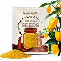 Yellow Habanero Pepper Seeds, Capsicum Annuum CH3425